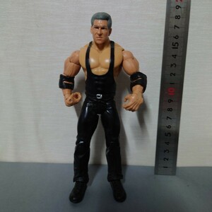 WWE 2003 ビンス マクマホン ジャックスパシフィック社 JAKKS Pacific, Inc. 格闘技 プロレス アクションフィギュア 関節可動　30