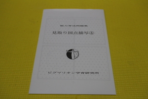 ピグマリオン　思考力育成 能力育成問題集　 見取り図点描写（４）　中学受験　図形　空間認識 早期教育　点描写