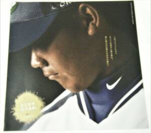 ナイキ　NIKE JAPAN　西武ライオンズ 松坂大輔 「どこまでいけるか。」 ポスター 大きさ:31㌢×31㌢　2005年ナイキポスター　販促非売品