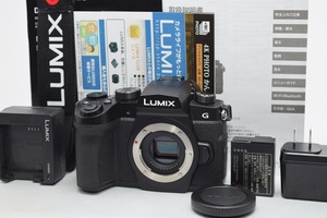 美品★Panasonic パナソニック LUMIX DC-G99 ボディ★元箱付