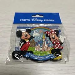 ディズニーリゾート　マグネット