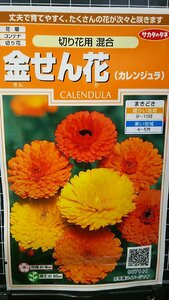 ３袋セット 金せん花 切り花用 キンセンカ カレンジュラ 種 郵便は送料無料