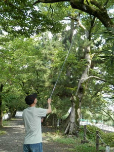  ≪セミとり名人≫a【網直径10㎝+棒長さ110-360cm】面白いほど捕れる！伸縮式昆虫ネット/虫取り/虫とり/甲虫/昆虫採集に/アウトドア