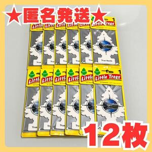 【お買い得】リトルツリー　トゥルーノース　 　★12枚セット★