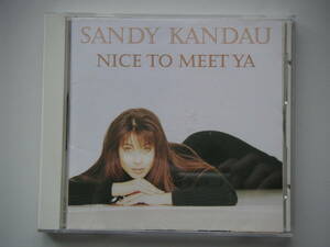 中古CD★サンディ・カンダウ（SANDY KANDAU）　「ナイス・トゥ・ミート・ヤ！(NICE TO MEET YA)」