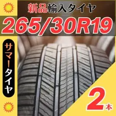 265/30R19 265/30/19 2本新品サマータイヤ夏19インチ輸入人気