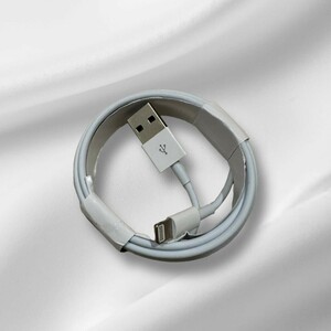 8iPhone ライトニングケーブル USB 充電器 急速充電 高速充電