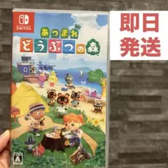 Switch あつまれ どうぶつの森