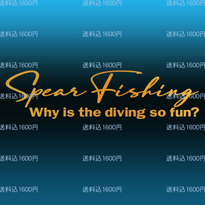 ●Spear Fishing カッティングステッカー Why is the diving so fun ?どうしてダイビングはそんなに楽しいの？　NO631