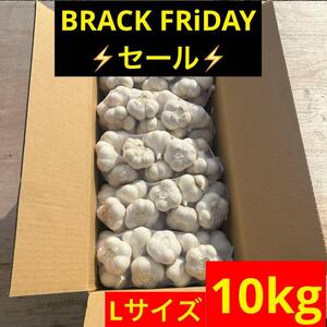 【1000円お得】10kg L青森県産にんにく 福地ホワイト六片 加工 種 漬物 