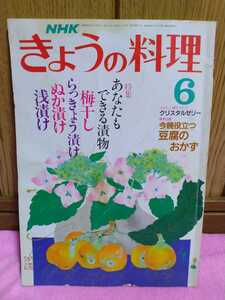 古本 NHK きょうの料理 昭和63年 6月号 漬物 梅干し らっきょう ぬか漬け 浅漬け 豆腐のおかず クリスタルゼリー 大地真央 十朱幸代 広告