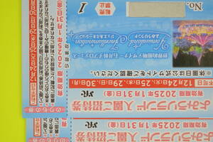 よみうりランド入園招待券　期限2025/1/31まで　１枚1100円　２枚セット2200円　送料無料