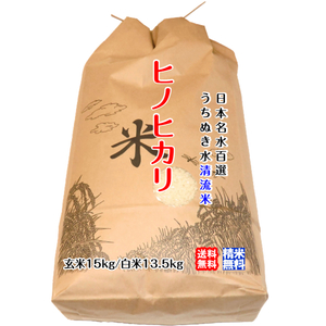 ヒノヒカリ 玄米15kg/白米13.5kg 2023年産 うちぬきで育てた清流米 百姓直送 送料無料 北海道/沖縄/東北は別途送料 宇和海の幸問屋