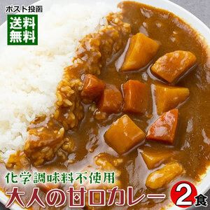 大人の甘口カレー（ビーフカレー） 2人前お試しセット 化学調味料無添加 国産野菜使用