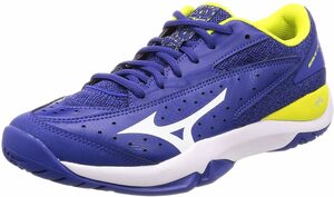 ミズノ MIZUNO テニス WAVE FLASH OC 61GB194501 24.5㎝　