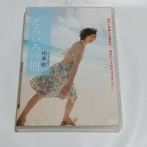 相楽樹　DVD　そらいろの樹