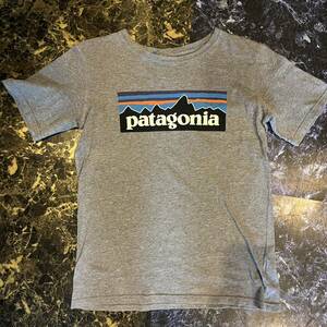 Patagonia パタゴニア グレーTシャツ プリン