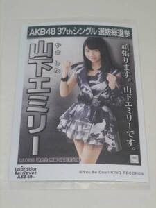 未開封AKB48 ラブラドールレトリバー劇場盤 生写真 山下エミリー