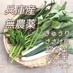 野菜詰め合わせ 野菜セット 兵庫産 きゅうり ささげ豆 空芯菜 長ネギ  無農薬