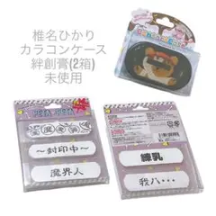 椎名ひかり 椎名ぴかりん 絆創膏 カラコンケース 未使用 販売終了品