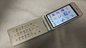 D4828 docomo FOMA P-01E Panasonic パナソニック ガラケー 折り畳み式 簡易動作確認＆簡易清掃＆初期化OK 判定○ 現状品 送料無料　