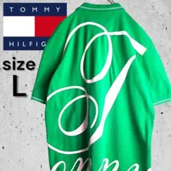 【美品】TOMMY HILFIGER ビッグロゴ ダブルライン ポロシャツ L