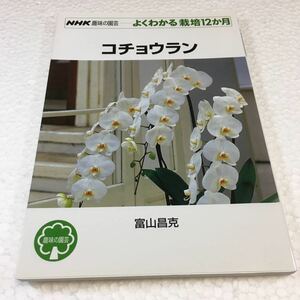 即決　未読未使用品　全国送料無料♪　コチョウラン (NHK趣味の園芸 よくわかる栽培12か月)　JAN- 9784140402023