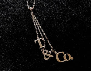 TIFFANY&Co. ティファニー 925 ネックレス 中古 希少