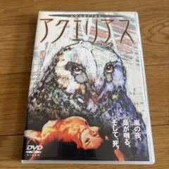 【希少レア盤】アクエリアス DVD