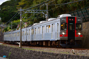 鉄道 デジ 写真 画像 伊豆急行 8000系 (東急) 歌舞伎ラッピング 3