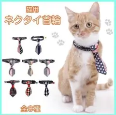 ❤️猫用 ネコ用首輪 かわいい おしゃれ ネクタイ首輪 ネクタイ ペット用品