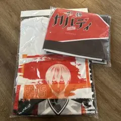 カラーディ Tシャツ 2枚セット Lサイズ