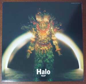 ETP-90227 1983年/Halo(LP)/TULIP-チューリップ