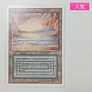 sD875a [人気] MTG Underground Sea 3ED リバイズド RV デュアルランド 英語版