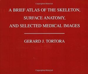 [A01761183]A Brief Atlas of the Human Skeleton， Surface Anatomy and Selecte