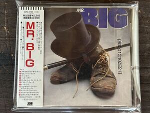 [CD]Mr. Big /ミスター・ビッグ 記念すべきデビューアルバム ここからすべてが始まった! Addicted To That Rush Anything For You収録