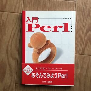 入門Perl 河野真治 著 第1版第3刷