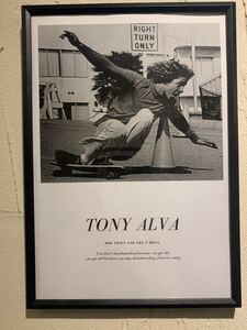 DOGTOWN トニーアルバ TONYALVA A4 ポスター 額付 送料込 スケボー