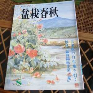 ☆盆栽春秋　1994年8月号　発行　日本盆栽協会☆