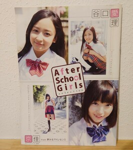 【☆付録写真集】ヤングアニマル12号　2015年　別冊付録　谷口愛理　京佳　田中日南乃　籠谷さくら　