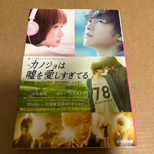 中古 小説 本 カノジョは嘘を愛しすぎてる 佐藤健 三浦翔平 大原櫻子 小学館文庫 豊田美加 青木琴美 吉田智子 小泉徳宏