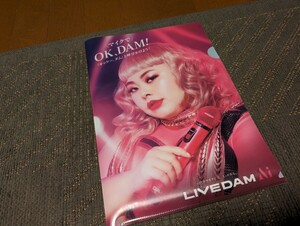 LIVE DAM Aiの クリアファイル 渡辺直美 第一興商