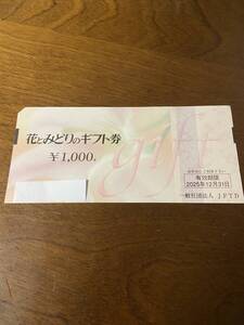 30000円分　花とみどりのギフト券　1000円x30枚