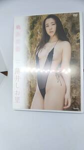 DVD 薄井しお里　桃肌天使　中古美品