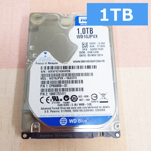 正常品 WD 1TB(1000GB) 2.5インチ HDD