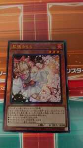 遊戯王 灰流うらら アルティメット レア レリーフ RARITY COLLECTION -QUARTER CENTURY EDITION-レアコレ R50219　