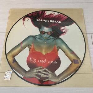 SPRING BREAK big bad love cascada remix GROOVE COVERAGE ピクチャーディスク ピクチャー盤 レコード Cyber Trance Vinyl LP 12inch