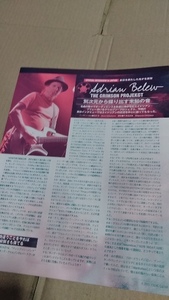 ヤングギター☆記事☆切り抜き☆Adrian Belew☆インタビュー&ギター・機材紹介☆『Official Bootleg Limited Edition』▽2DV1118