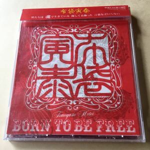 布袋寅泰 1CD「BORN TO BE FREE」