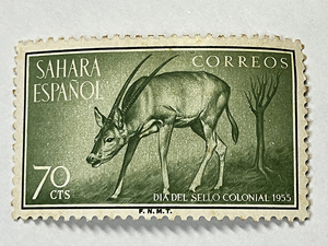 外国切手　SAHARA ESPANOL　1955　70CTS